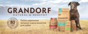 Какой сухой корм лучше всего подойдет овчарки?